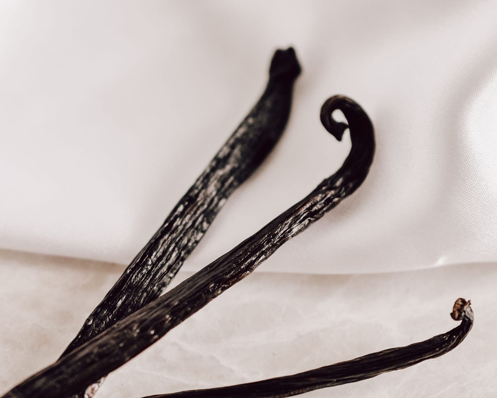 Close-up of dried vanilla beans on a neutral surface